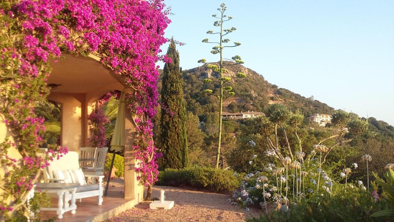 U Paradisu B&B Porto-Vecchio  Luaran gambar